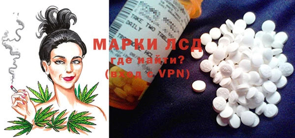 гашик Магас