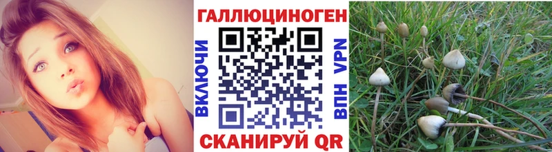 Псилоцибиновые грибы GOLDEN TEACHER  Сорочинск 