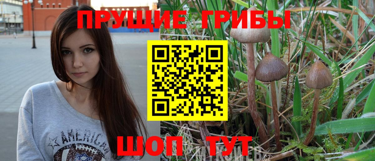 Галлюциногенные грибы MAGIC MUSHROOMS Сорочинск