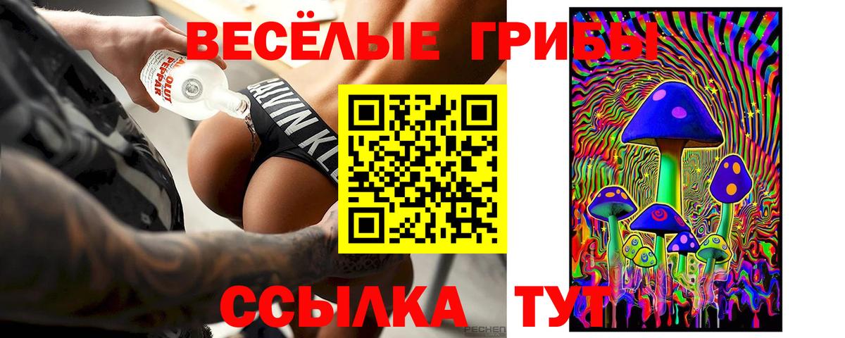 Мяу-Мяу  Диски  Каннабис  МДМА  Cocaine  Лсд 25  Плюхи  Сорочинск  ГАШ  Вход с VPN  А ПВП 